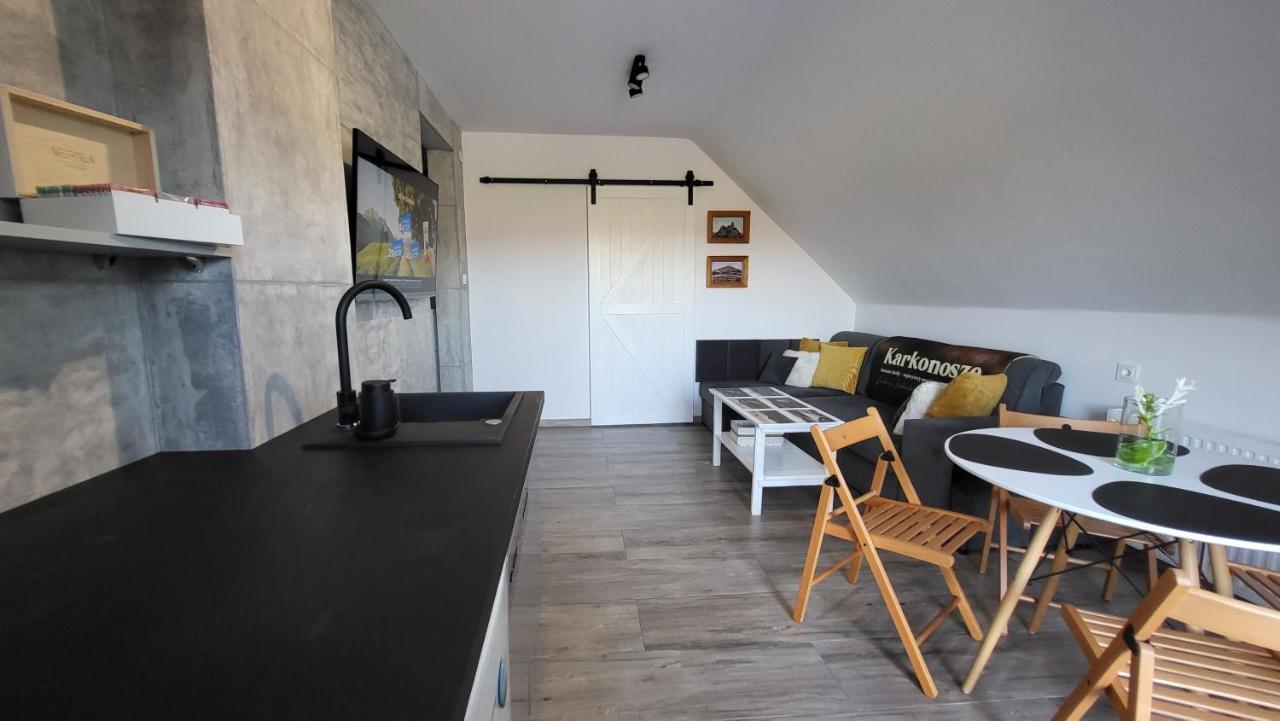 Swit - Apartament W Jezowie Sudeckim Jezow Sudecki المظهر الخارجي الصورة